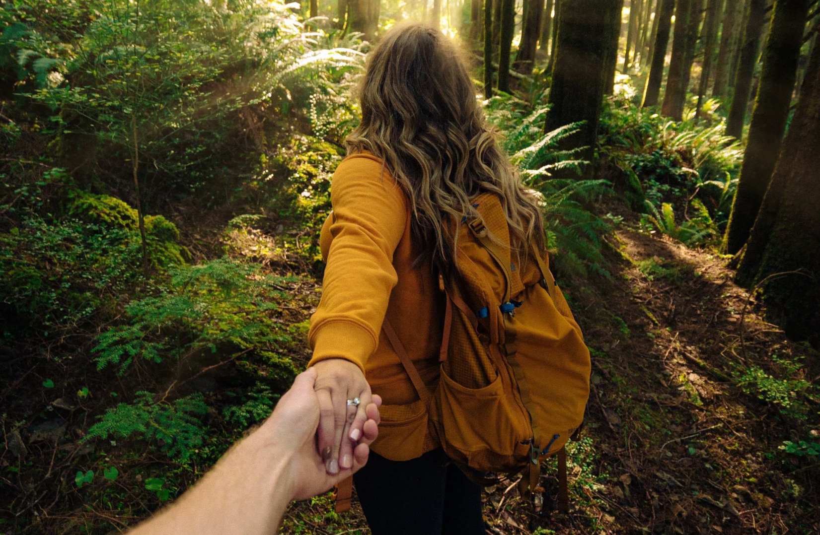 Start and Explore